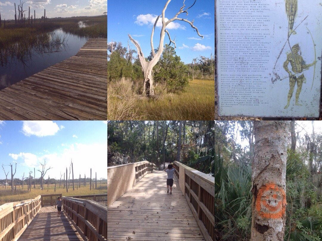 Cradle Creek Preserve景点图片