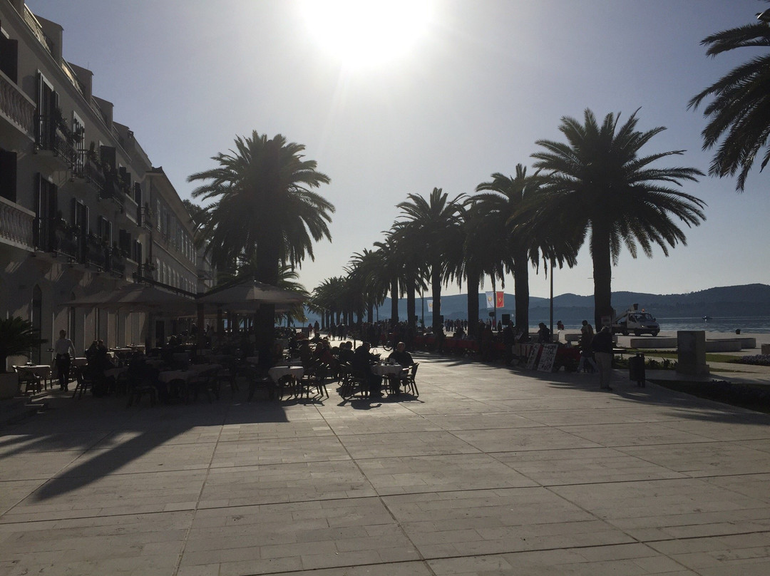 Tivat Passia-Tivat Municipality必去景点