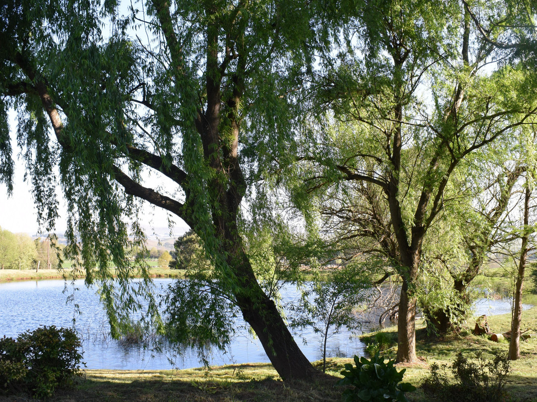 Elgin Guesthouse & Farm主图