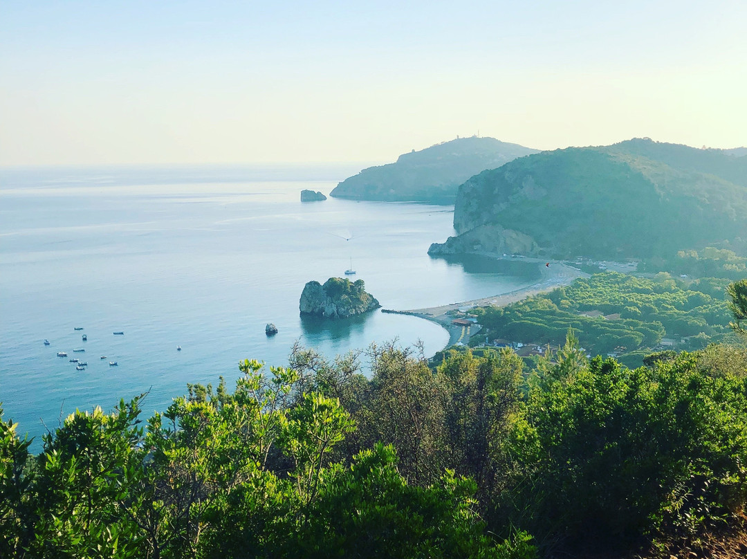 B&B Verdemare Camerota主图