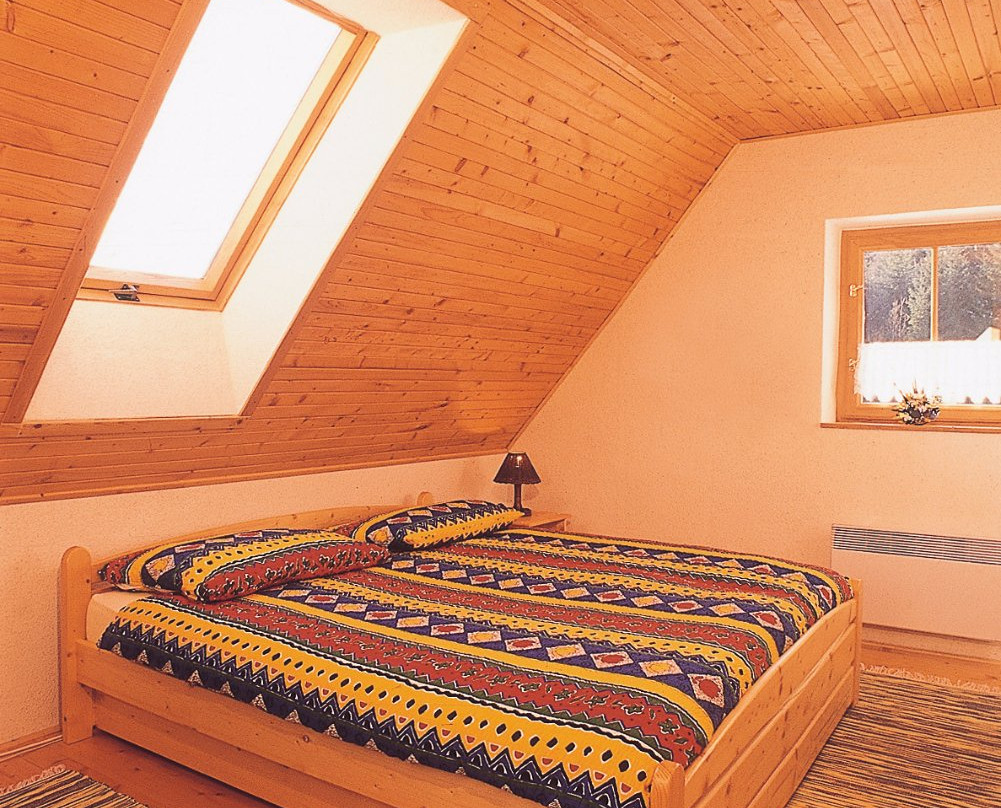 Mountain cottage Stara Horaren主图
