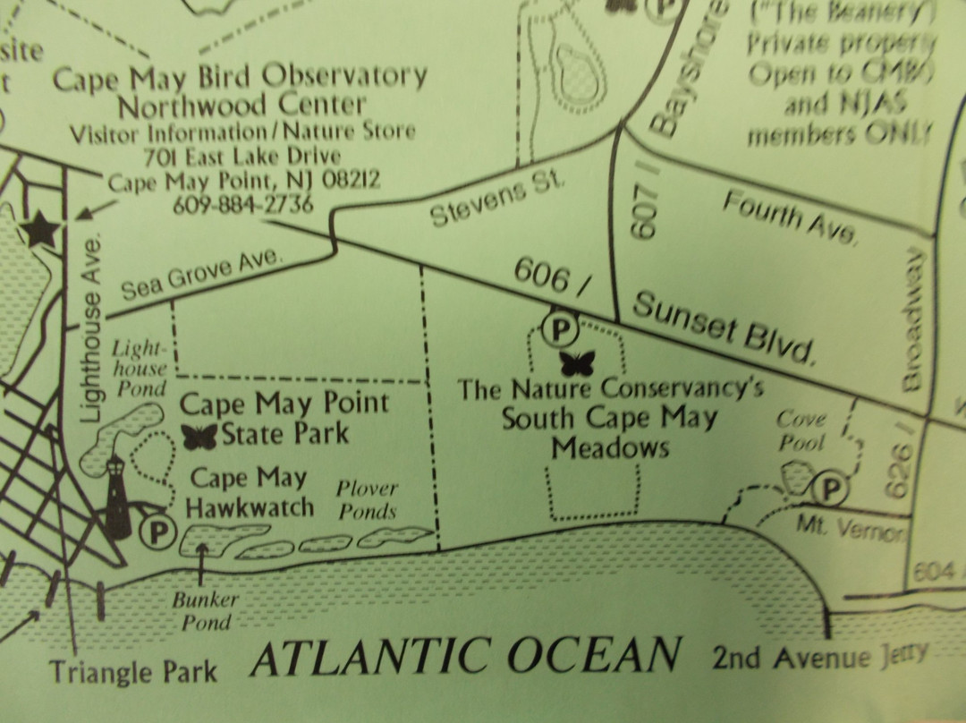 Cape May Bird Observatory-Cape May Point必去景点