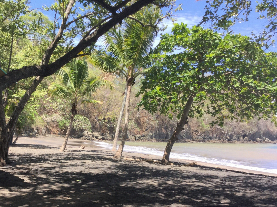 Playa Dona Ana景点图片