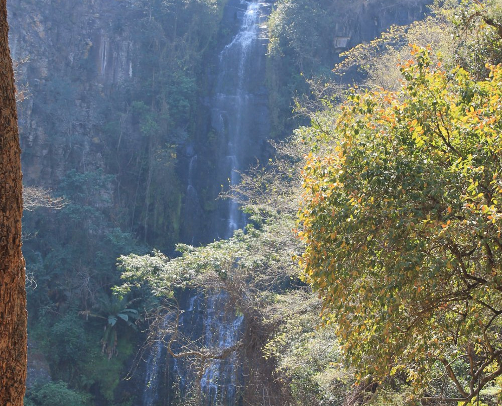 Bridalveil Falls景点图片