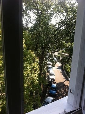Hotel Villa Laurel-酒店景观