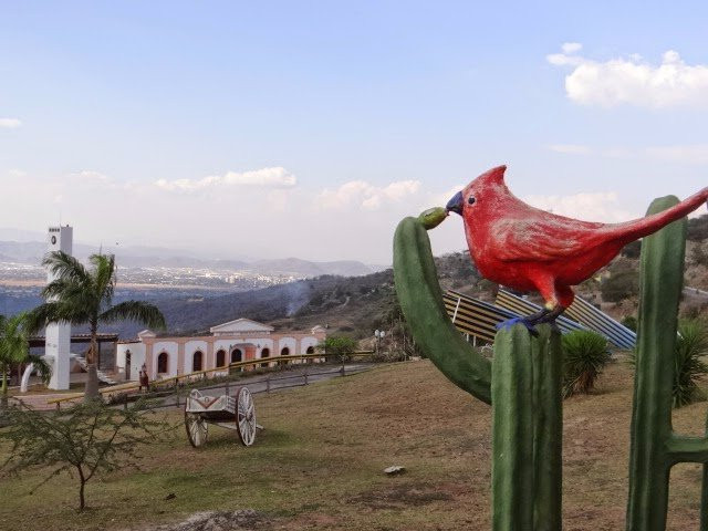 Ah Mundo Barquisimeto!景点图片
