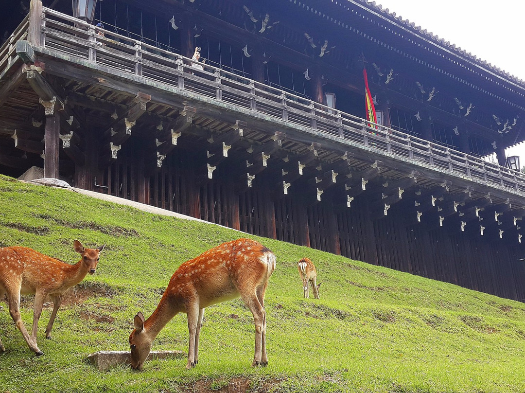 东大寺二月堂景点图片