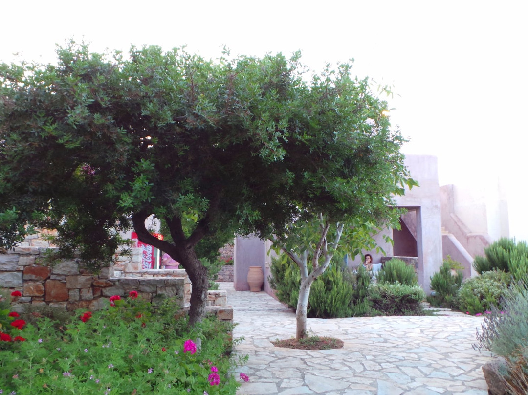 Studios Zografies主图