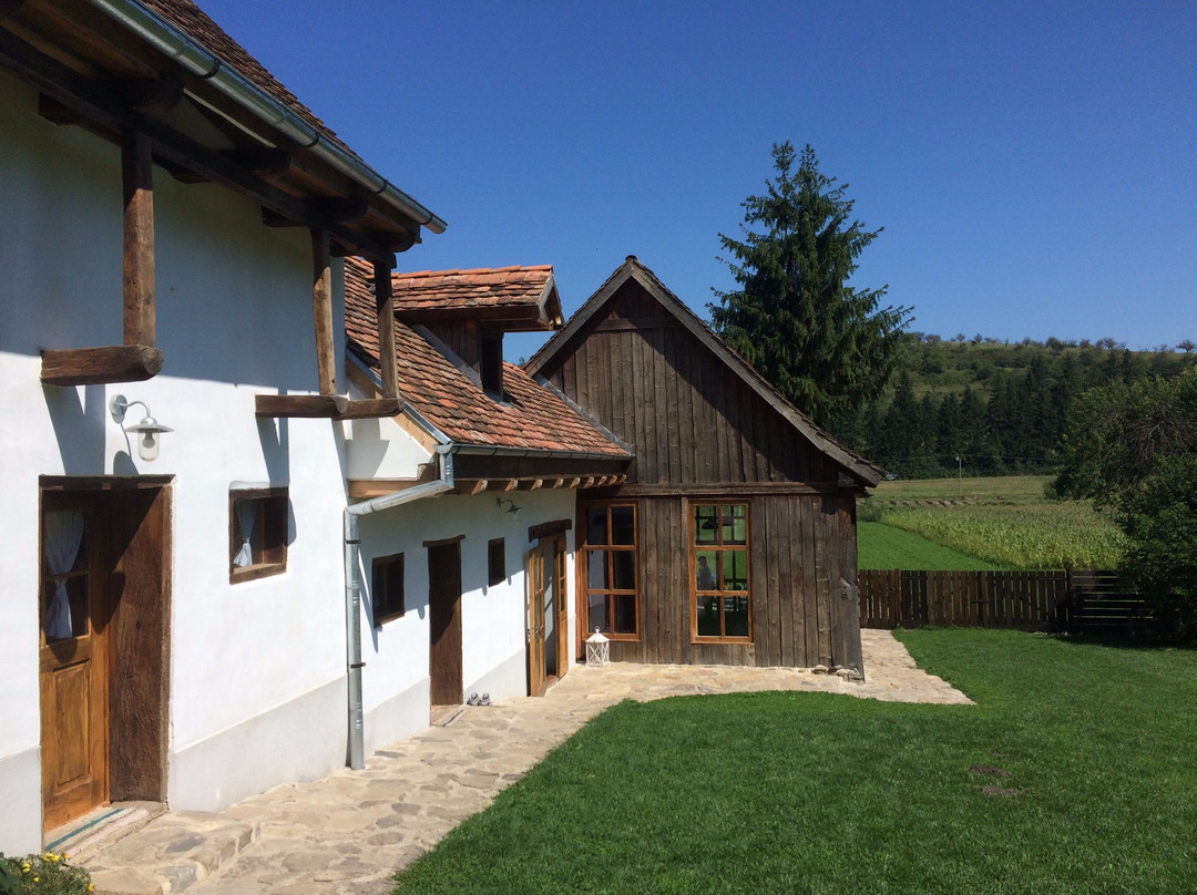 Pelisor酒店住宿-Veseud11