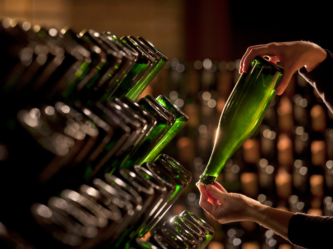 Casa Valduga Winery景点图片