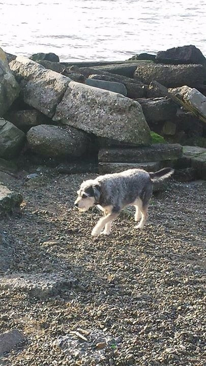 Point Isabel-列治文必去景点