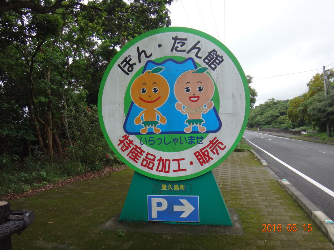 Pontankan-屋久岛町必去景点