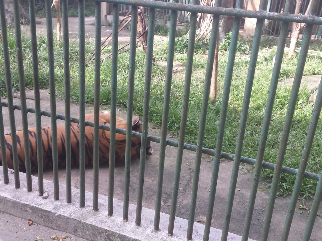 Wildlife Cultural Park Kinantan-武吉丁宜必去景点