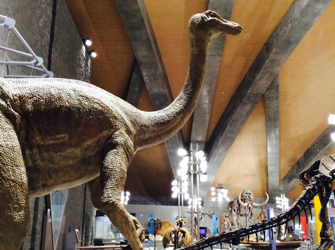 Gunma Natural Museum景点图片