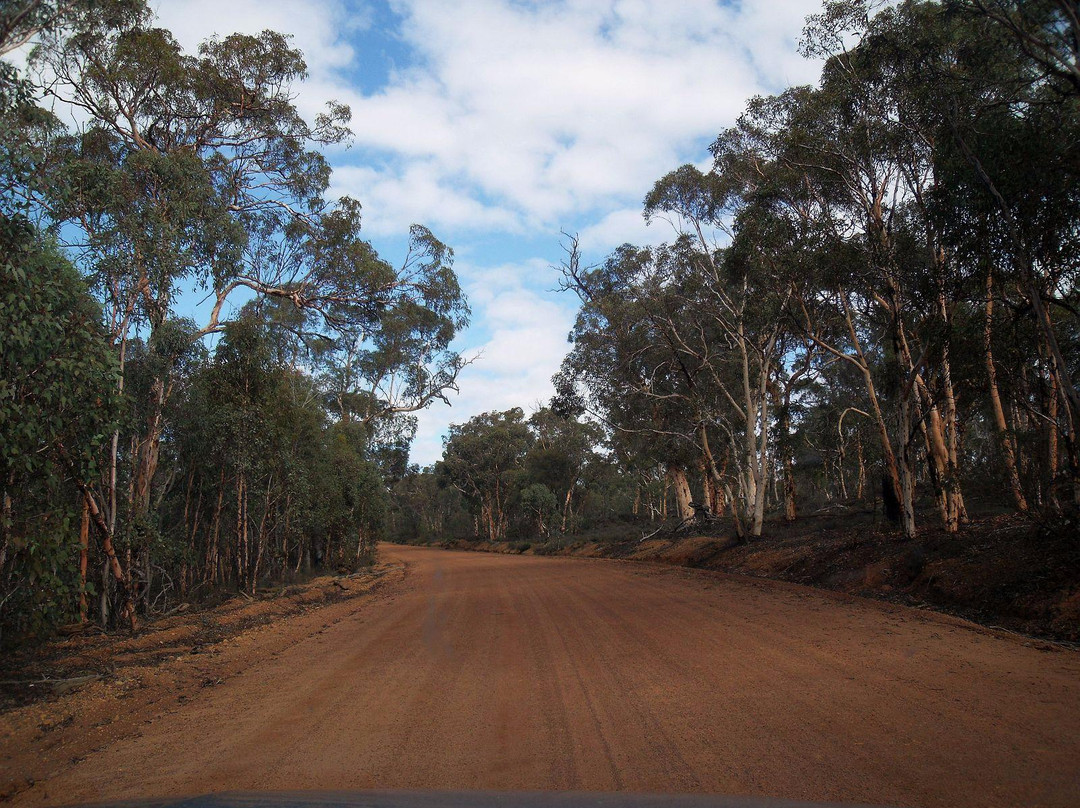 Williams Nature Reserve-Williams必去景点