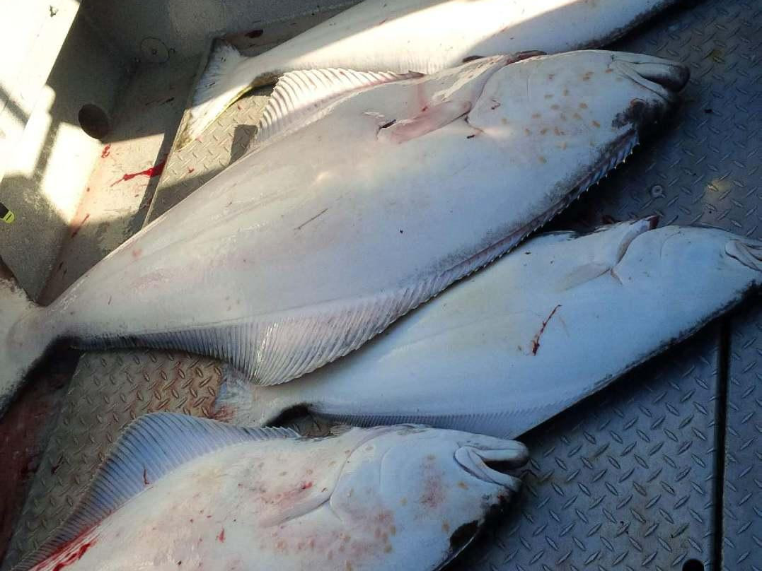 Unreel Fishing Charters-纳奈莫必去景点