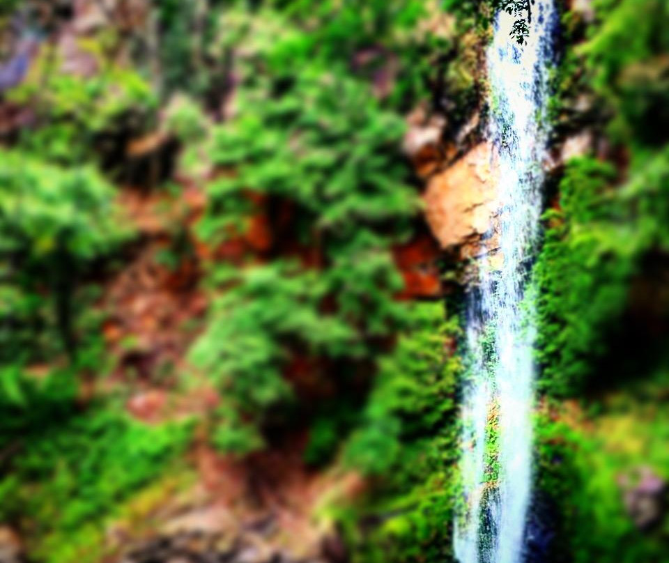 Magical Adventures景点图片