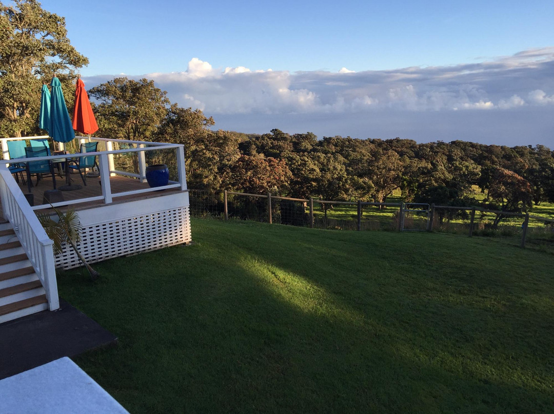 哈玛库亚牧场之家住宿加早餐旅馆主图