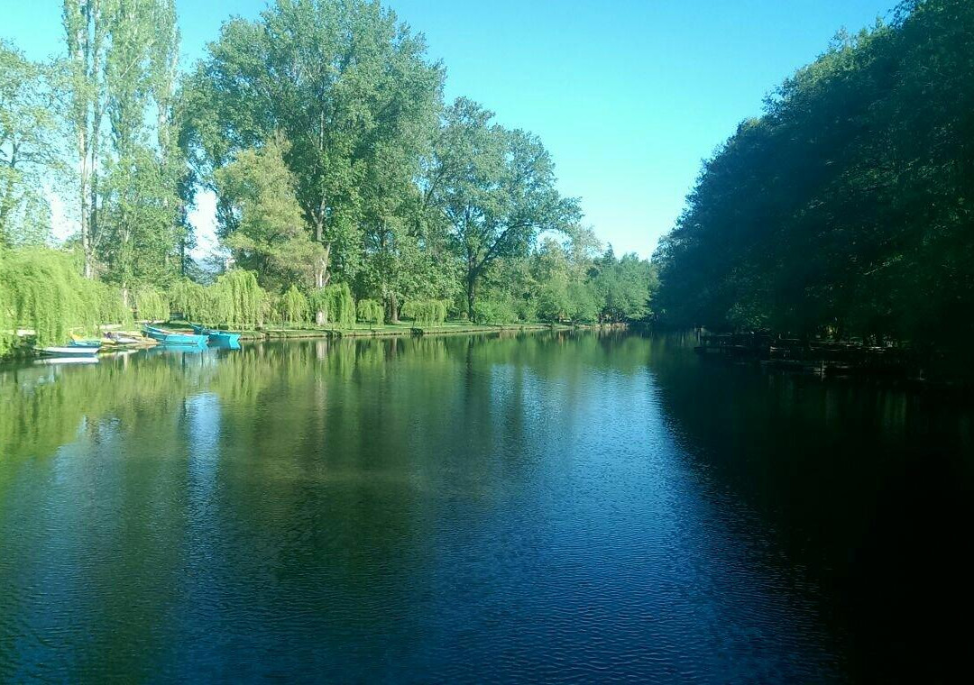 null-Pogradec