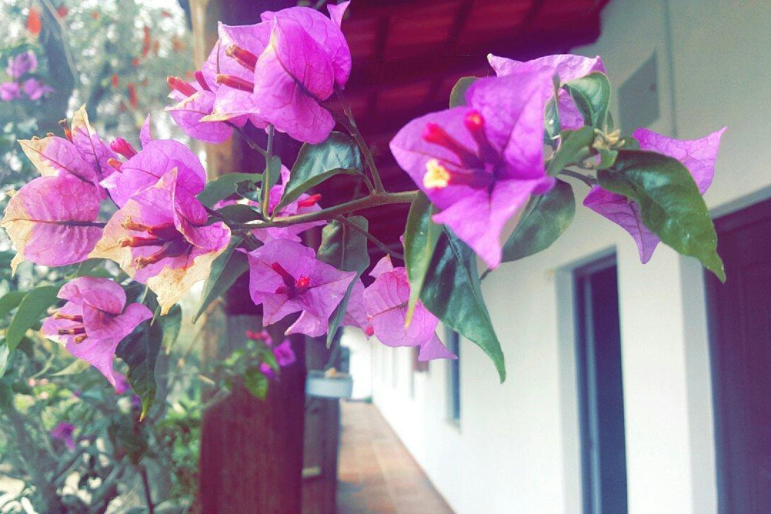 Atouguia da Baleia酒店住宿-A Coutada Hotel Rural