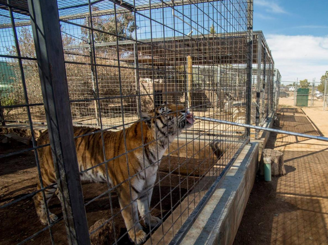 Forever Wild Exotic Animal Sanctuary景点图片