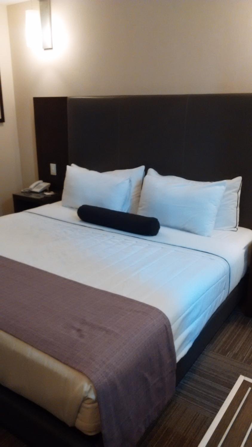 Primera Avenida Suites-官方