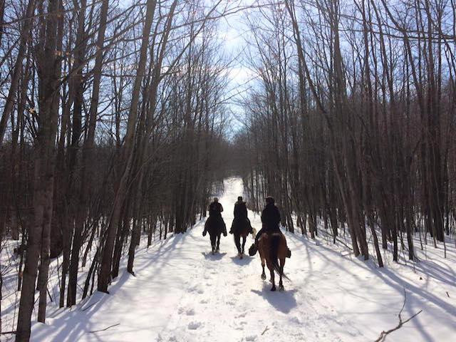 Peace Valley Ranch B&B主图