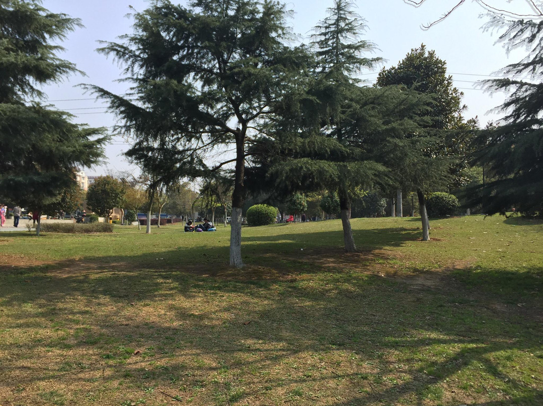 金华凤凰山公园-金华市必去景点