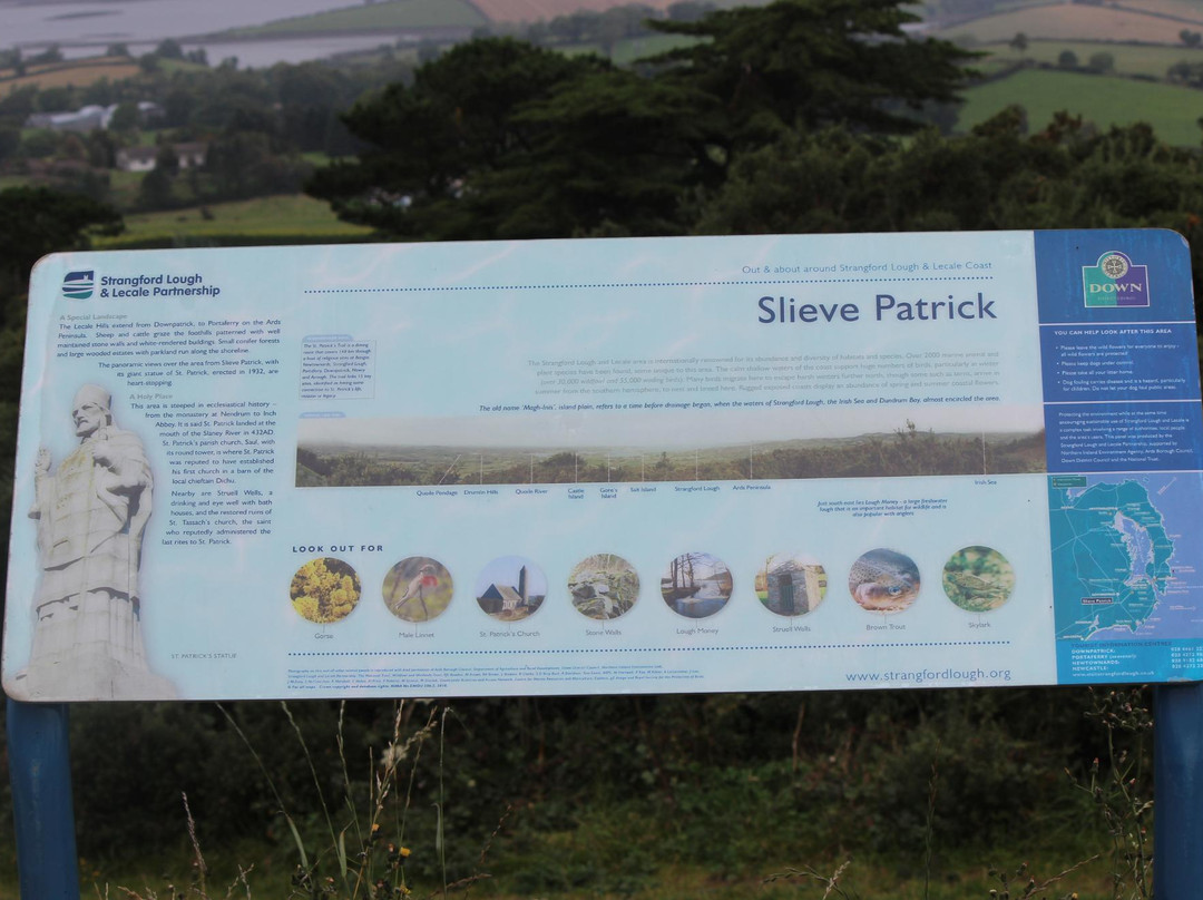 Slieve Patrick Statue-Downpatrick必去景点