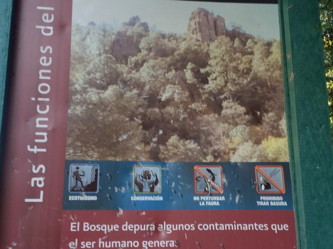 Cascadas de Cerocahui-Cerocahui必去景点