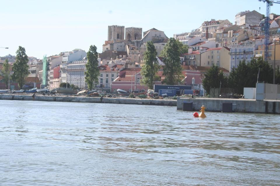 Sail in Portugal景点图片
