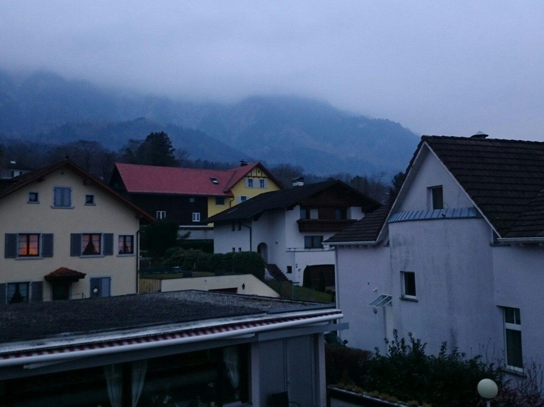 Hotel Schaanerhof主图