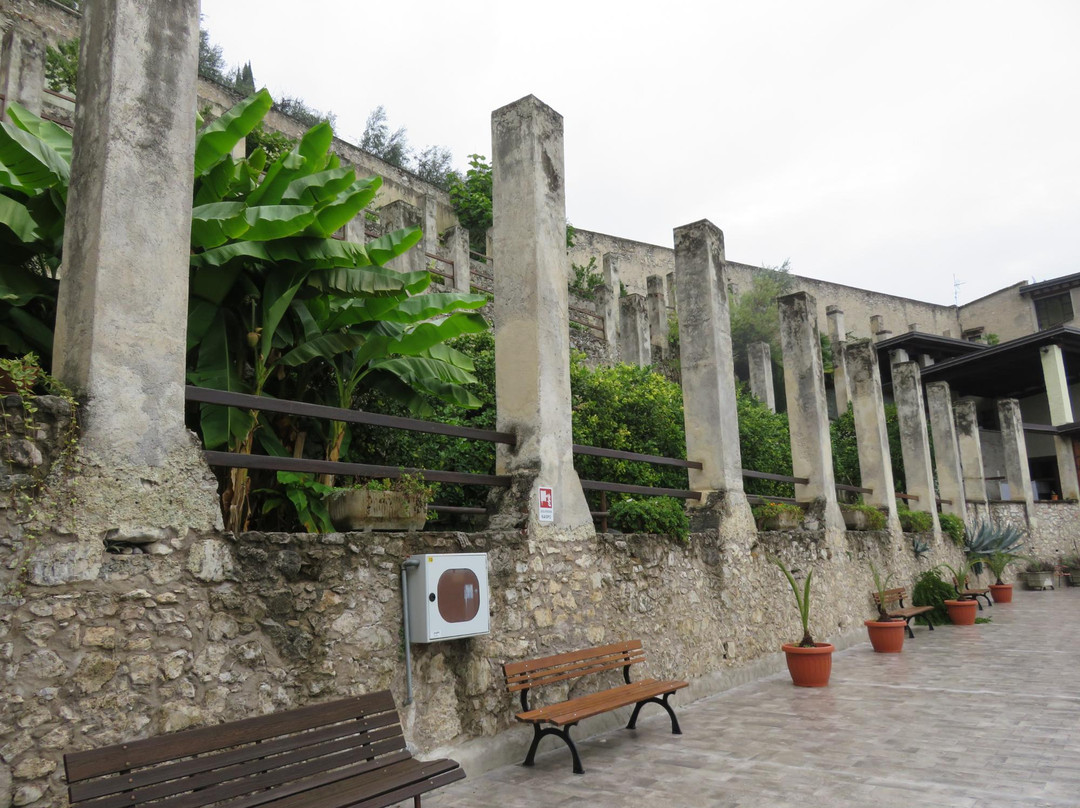 Museo Tesol景点图片