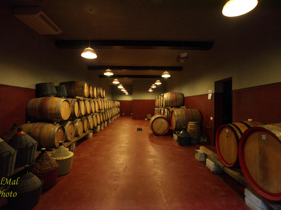 Azienda Agricola L'Arco Antico-Pozzilli必去景点