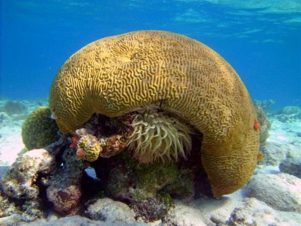 Rock Islands Santuaries-Ambalangoda必去景点