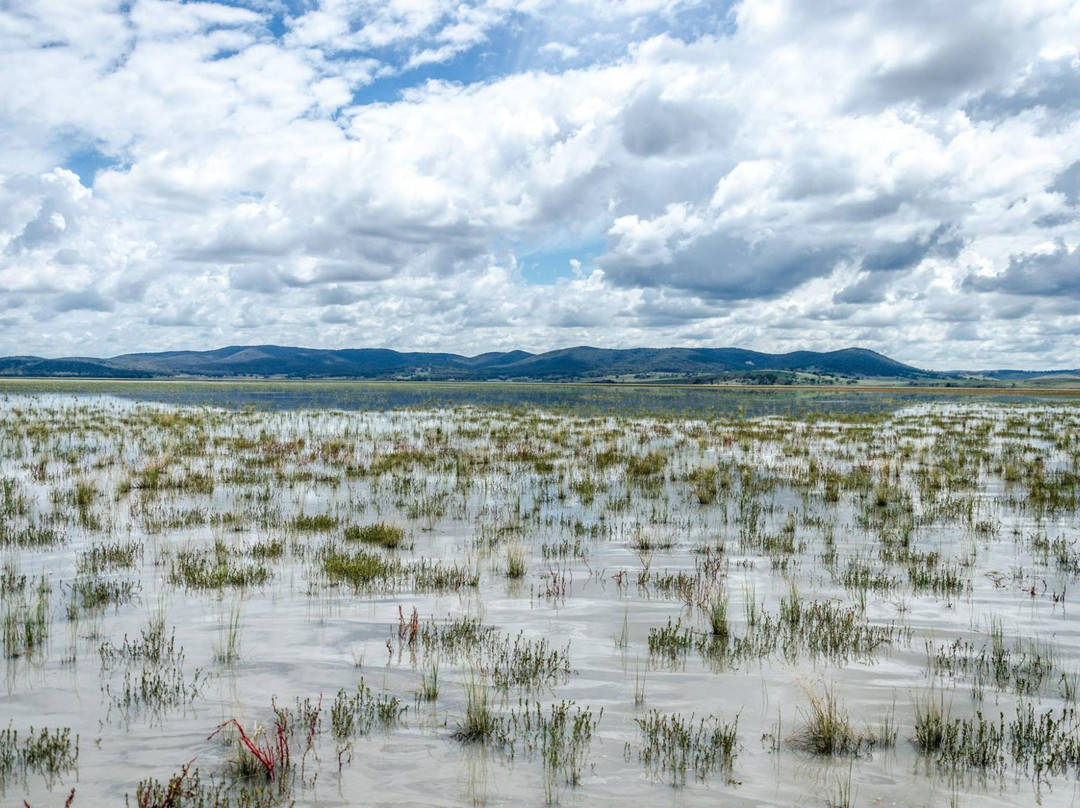 Lake George-Bungendore必去景点
