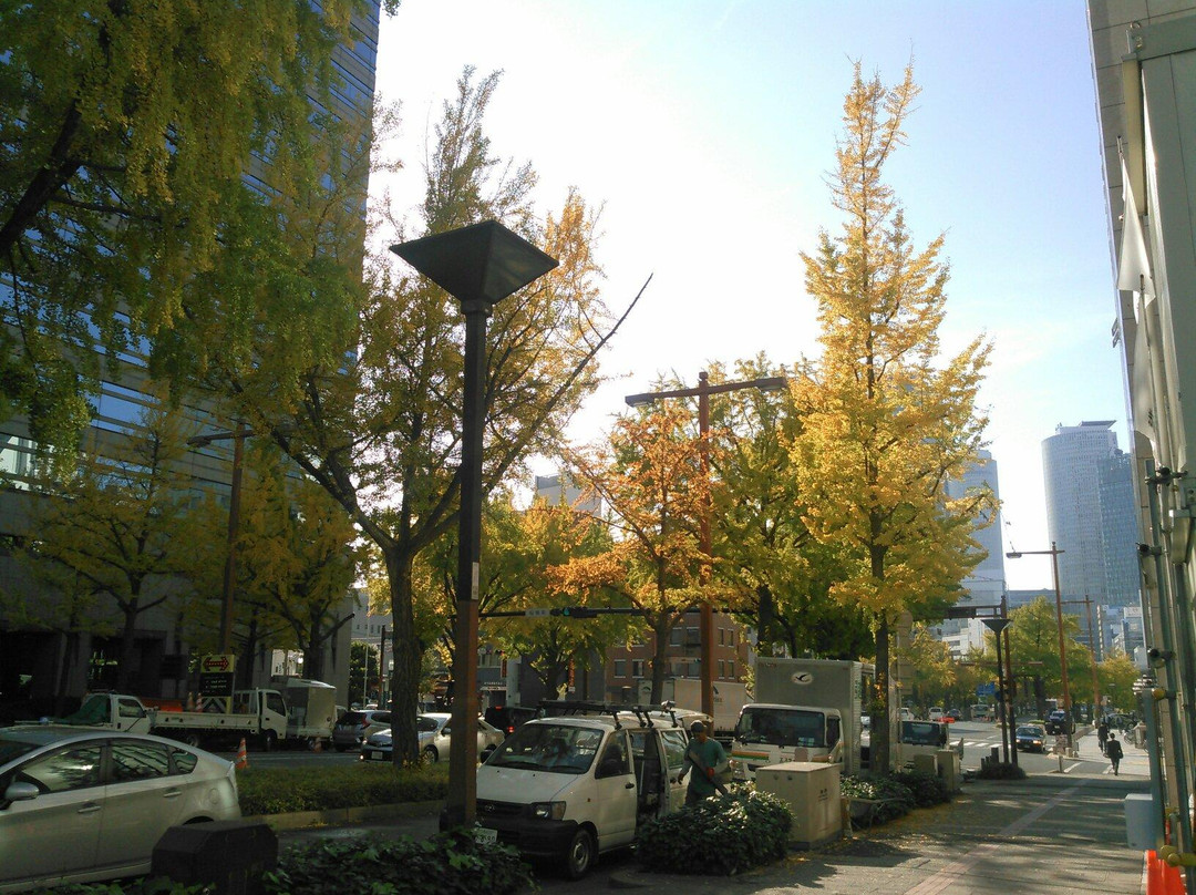 Sakura Avenue Lined with Ginkgo Tree-Naka必去景点