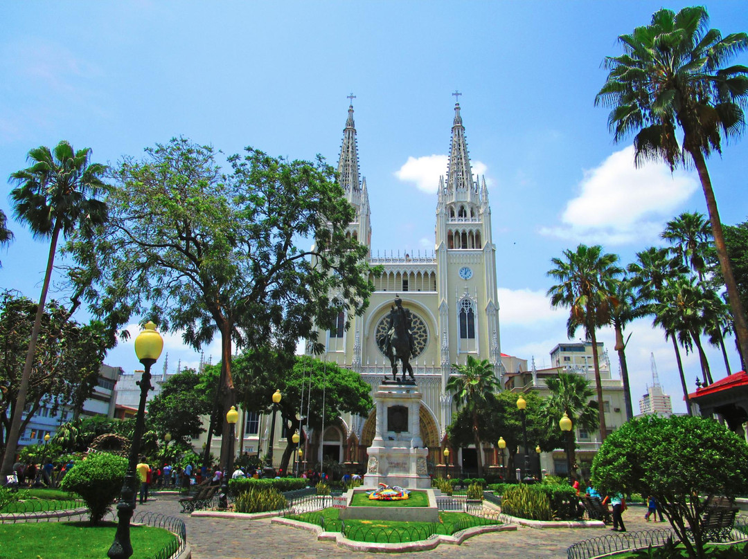 Catedral Metropolitana de Guayaquil景点图片