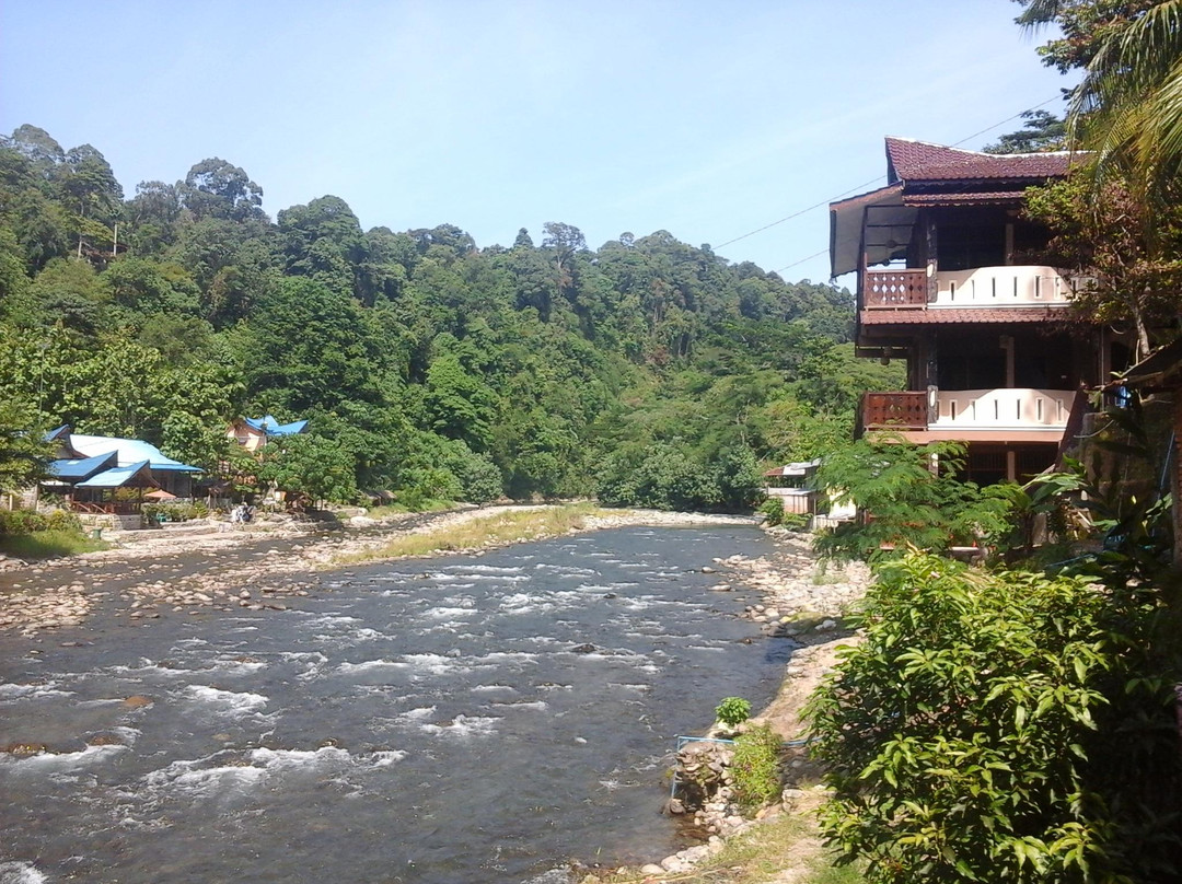 Bohorok酒店住宿-Fido Dido