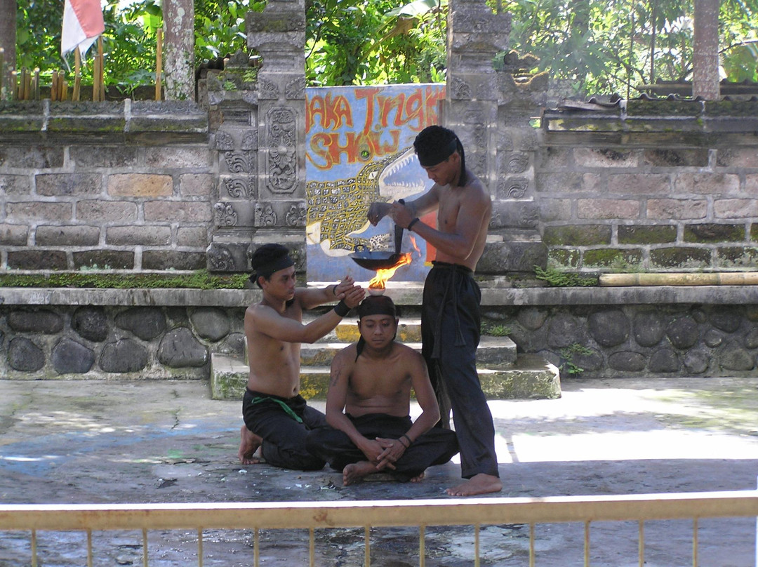 Crocodile and Reptile Indonesia Jaya Park-孟格威必去景点