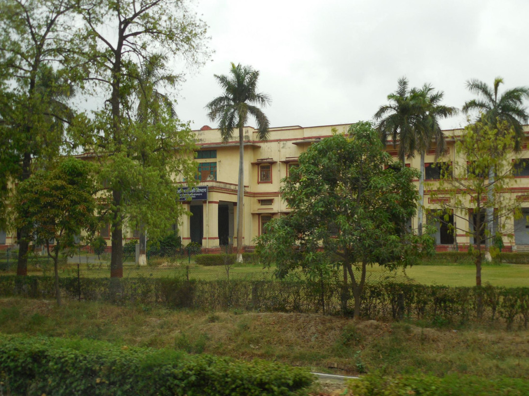 Bharat Kala Bhavan景点图片