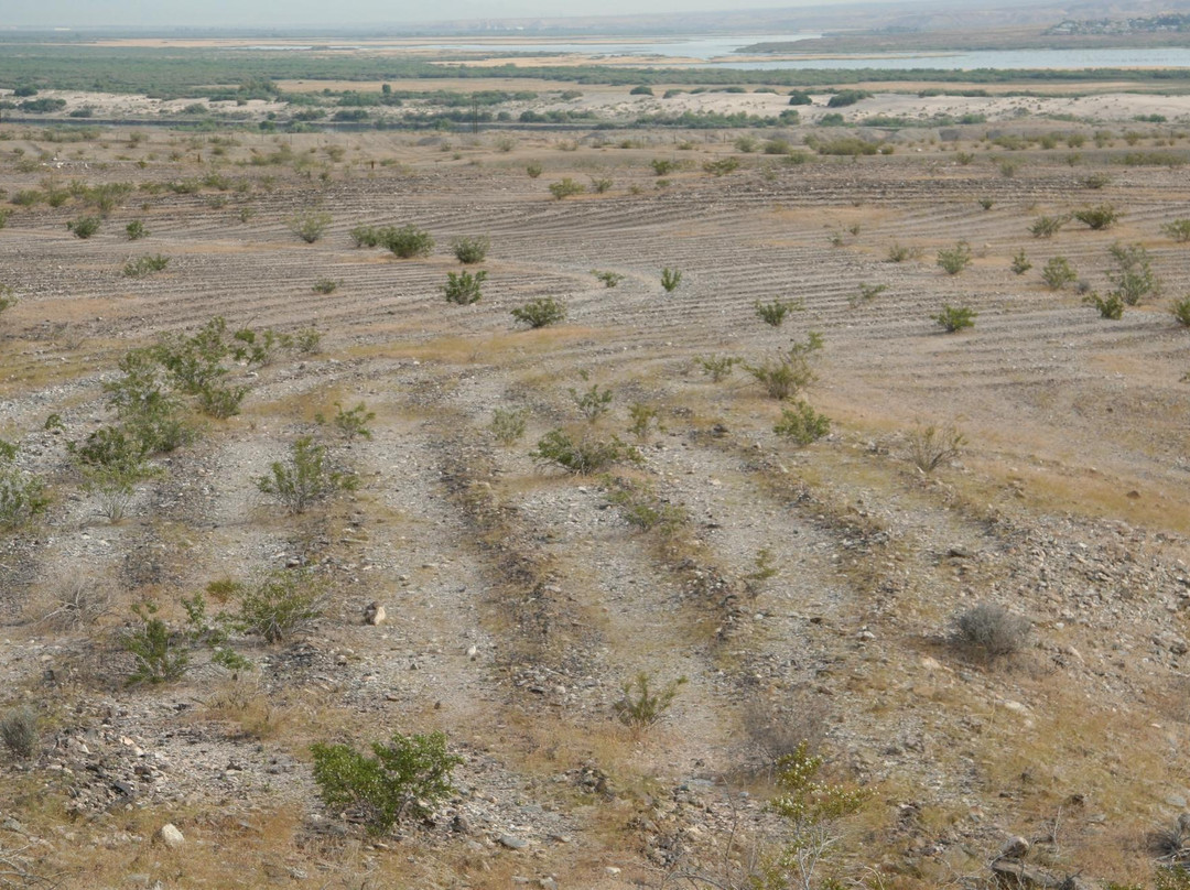 Mystic Maze-尼德尔斯必去景点