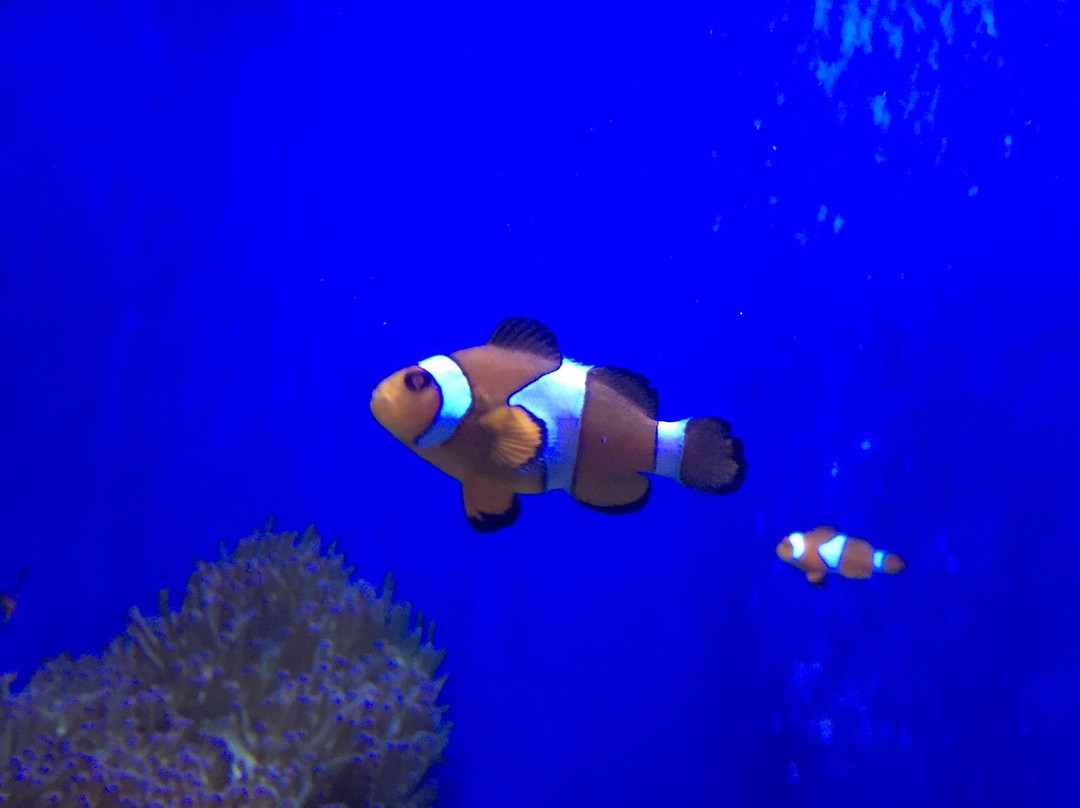 Marine Ecology Research Centre景点图片
