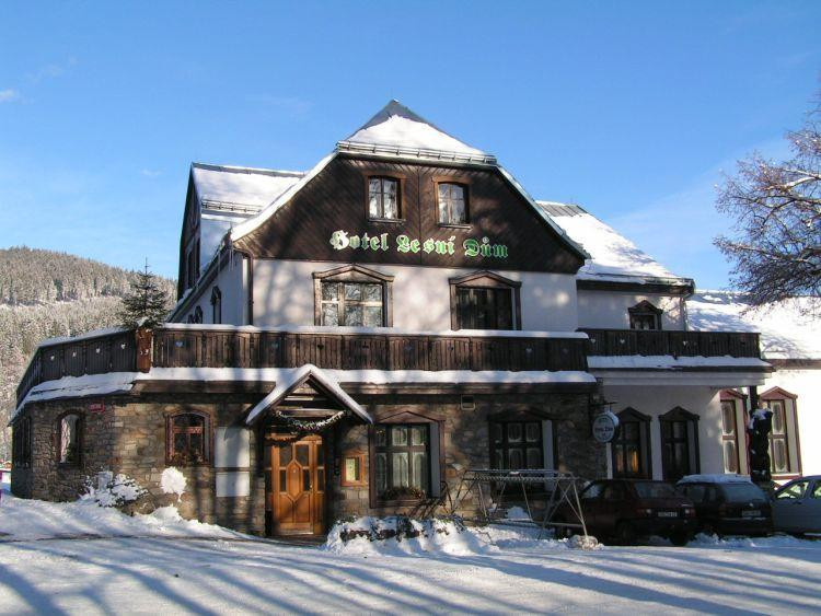 Hotel Lesni dum