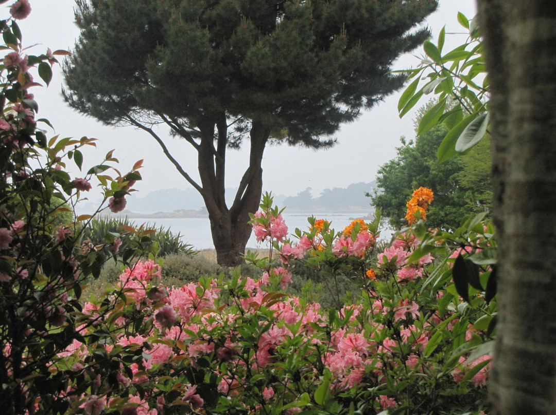 Le Jardin du Pellinec景点图片