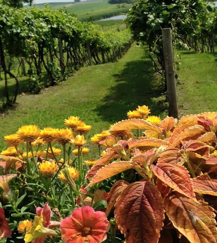Painted Prairie Vineyard-Currie必去景点