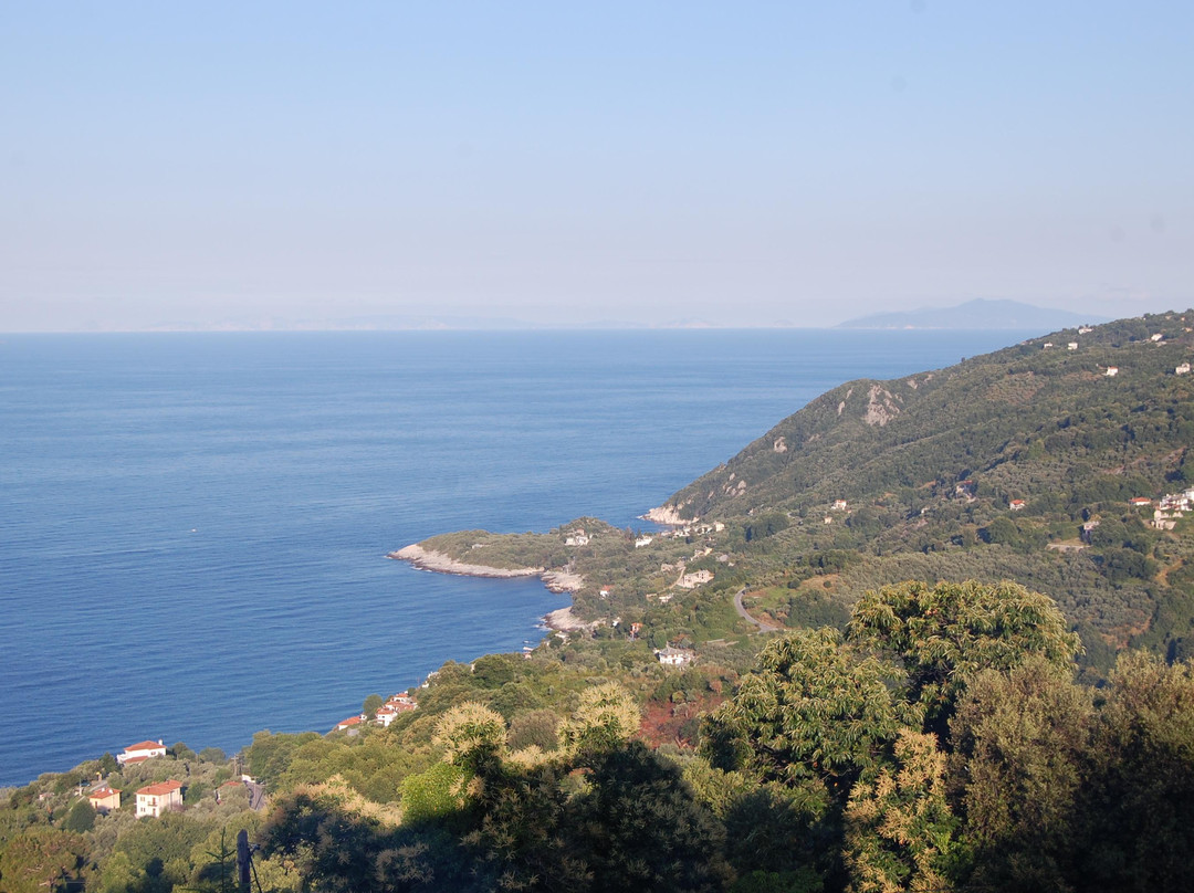 Om Living Pelion