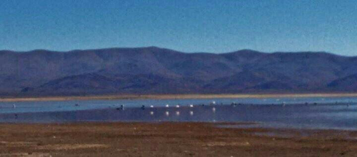 Monumento Natural Laguna de los Pozuelos景点图片
