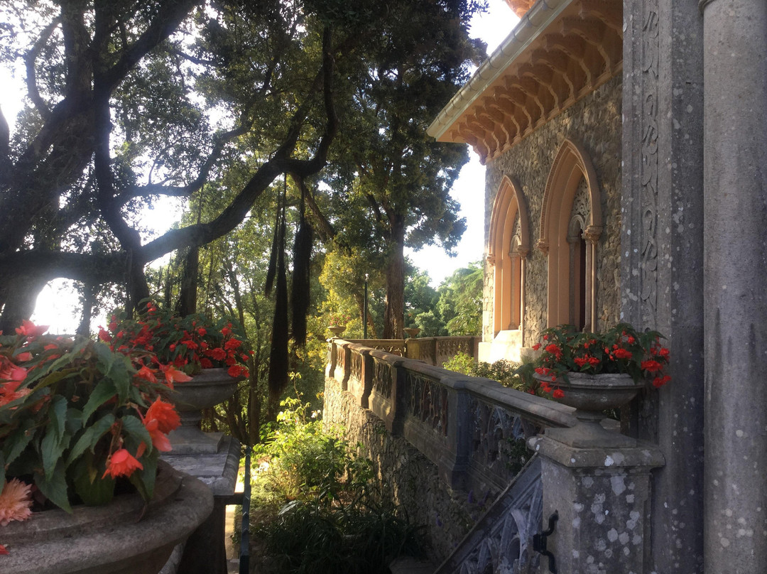 Parque de Monserrate景点图片