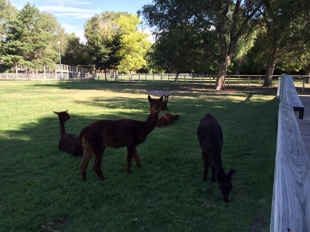 Lee Richardson Zoo-Garden City必去景点